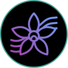 services-icon